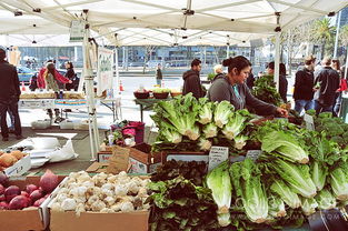 农贸市场 美国有机农产品销售的活力枢纽