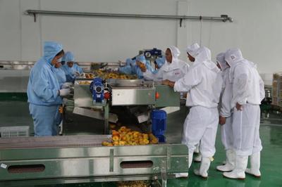 三都 推进农产品深加工，助力脱贫攻坚的实践与成效