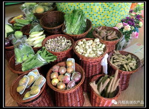 丹樱高端农产品专卖店 新零售模式下的体验式消费新标杆